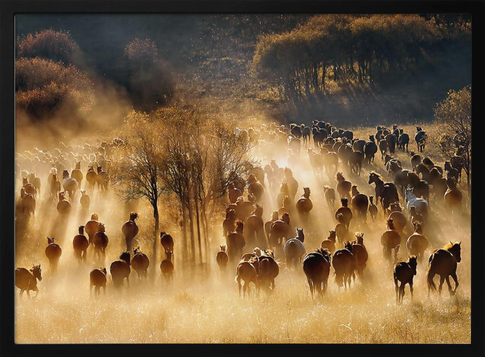 Paarden | Poster