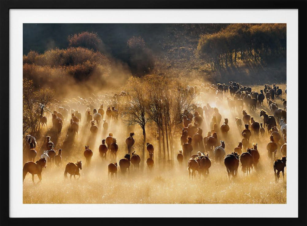 Paarden | Poster
