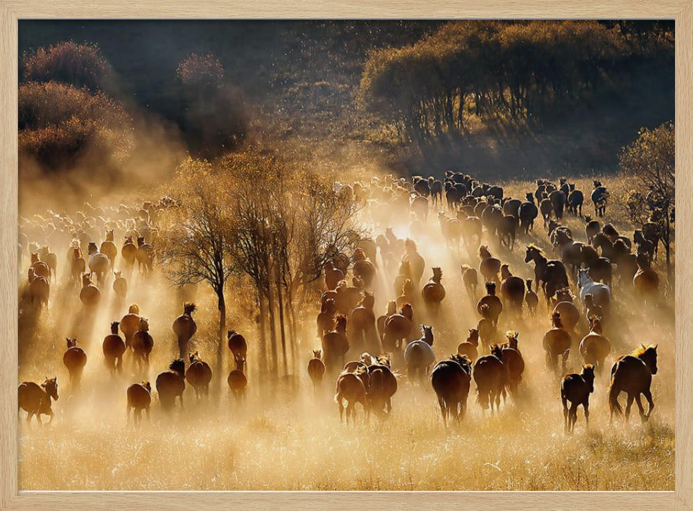 Paarden | Poster
