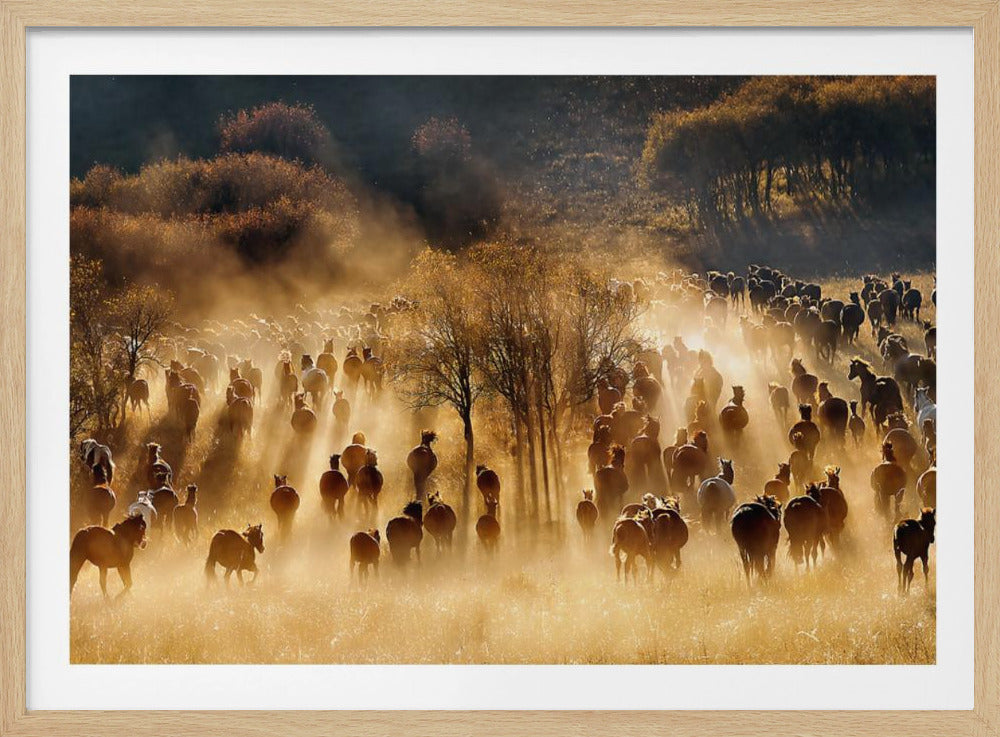 Paarden | Poster