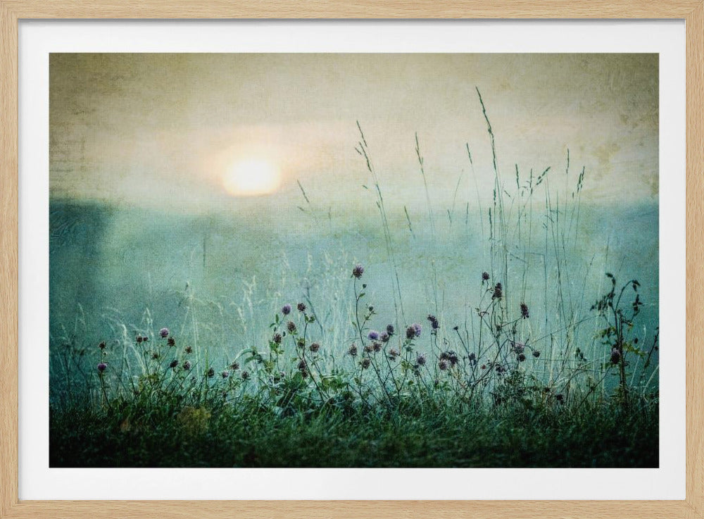 Herfstzonsopgang | Poster