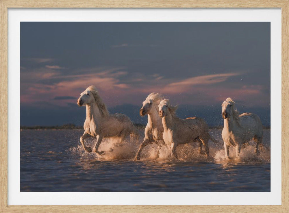 Engelen van de Camargue | Poster
