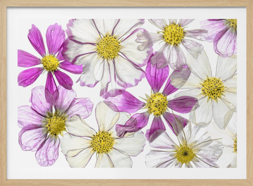 Zomer in stand houden | Poster
