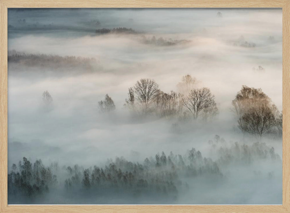 Wintermist | Poster