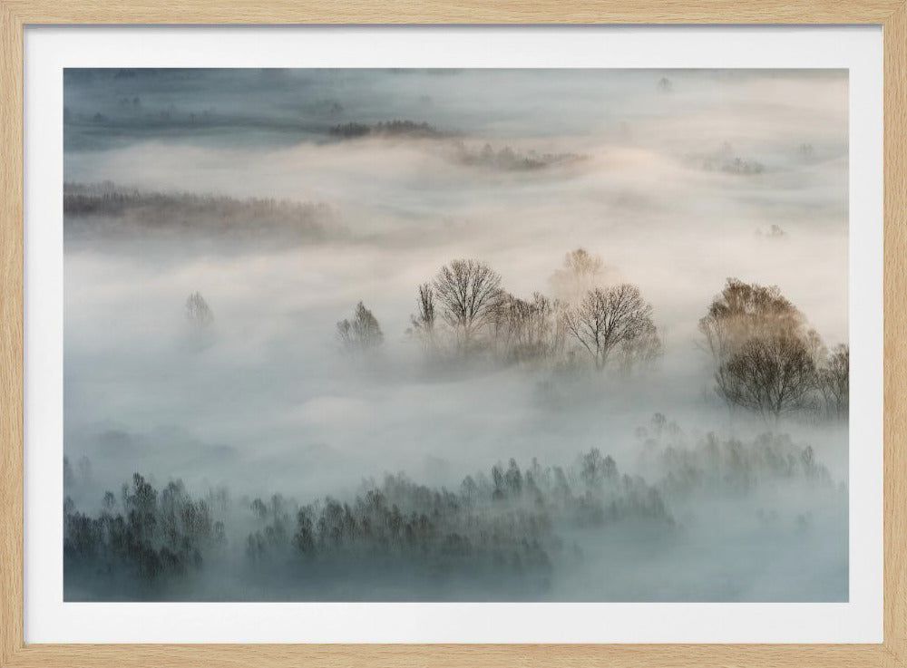 Wintermist | Poster