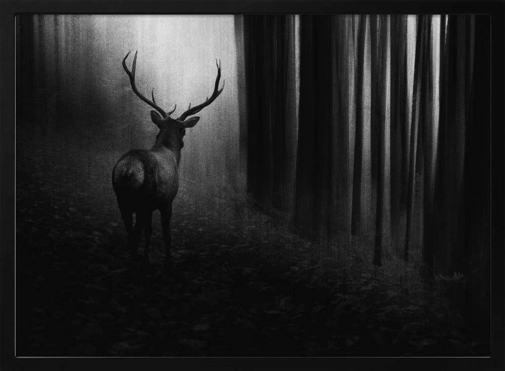 Stag | Poster