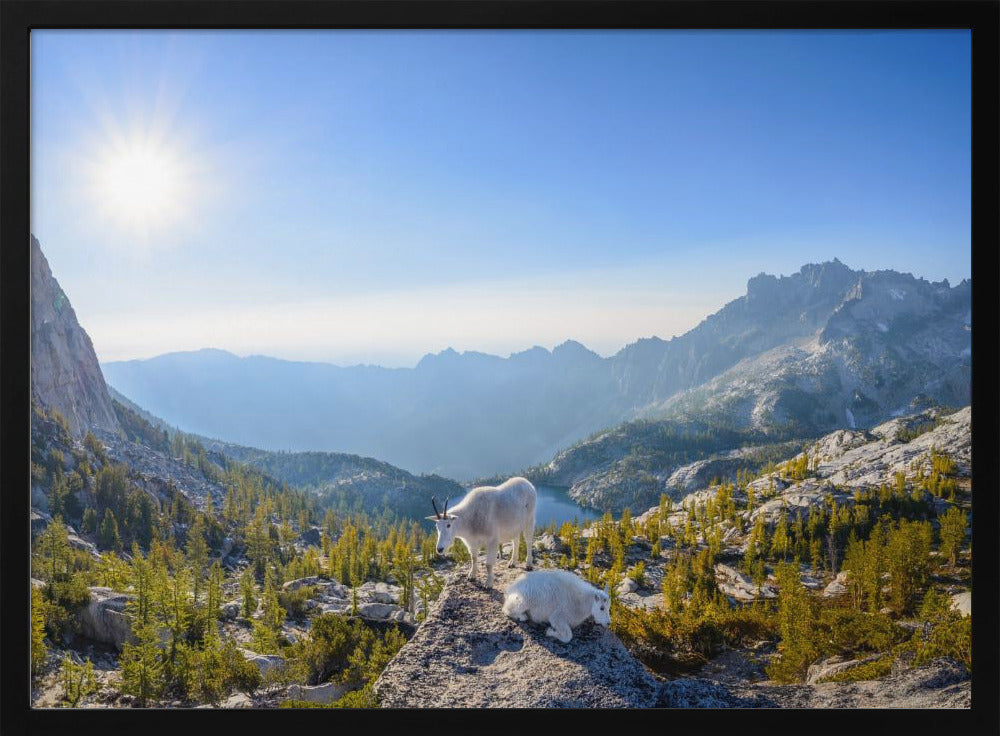 Betovering: Panorama van de Prusikpas | Poster