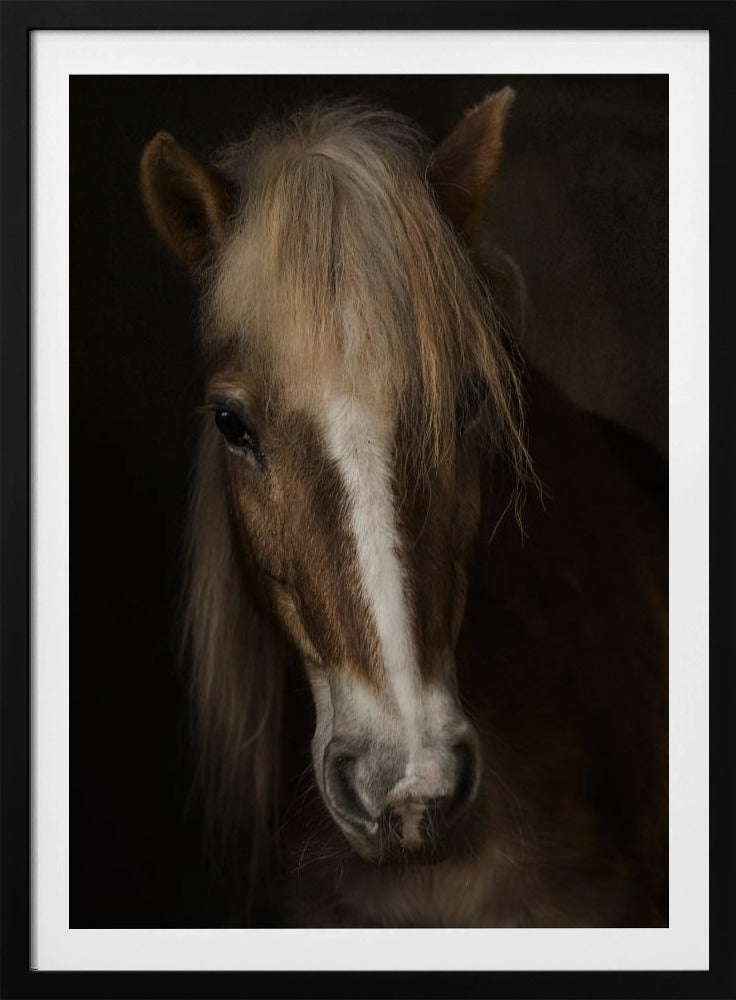 Wijsheid | Poster