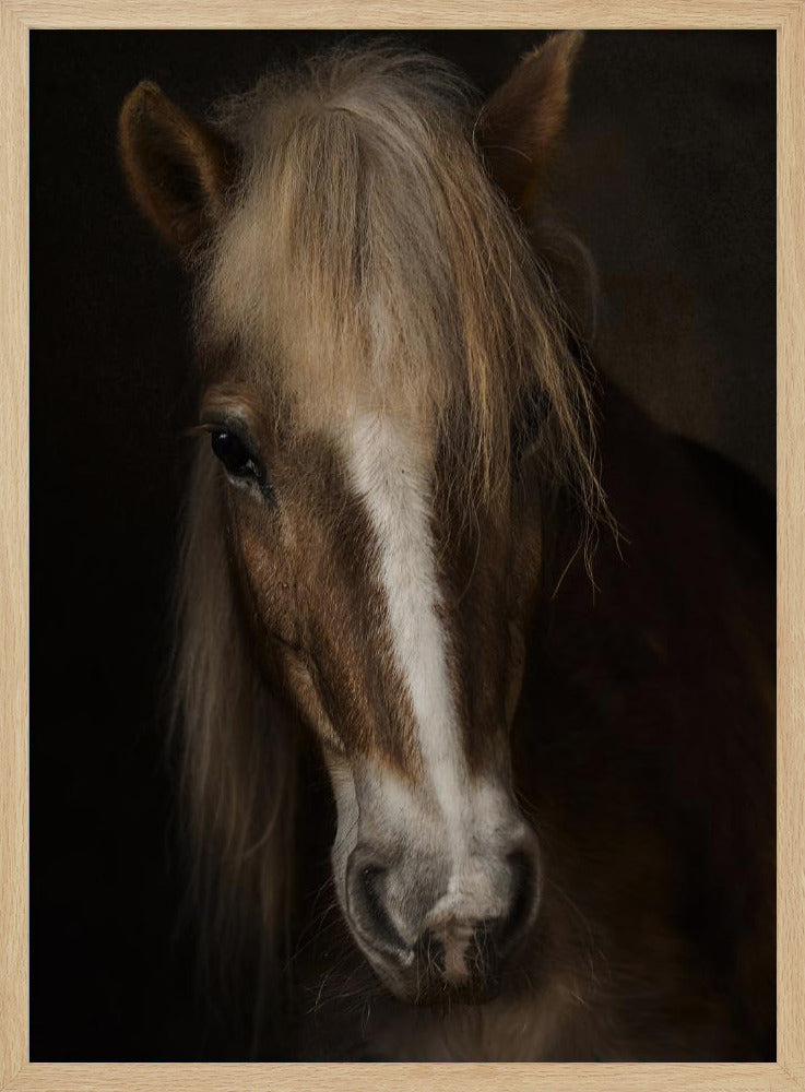 Wijsheid | Poster