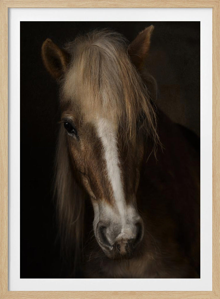Wijsheid | Poster