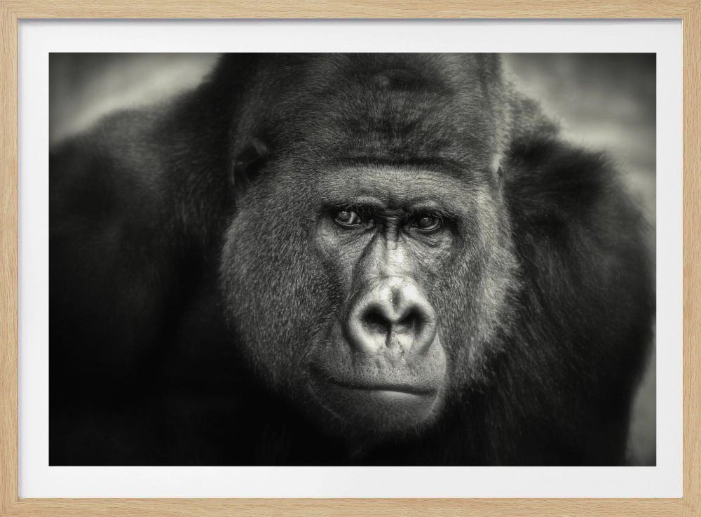 KLEINE GLIMLACH .... | Poster