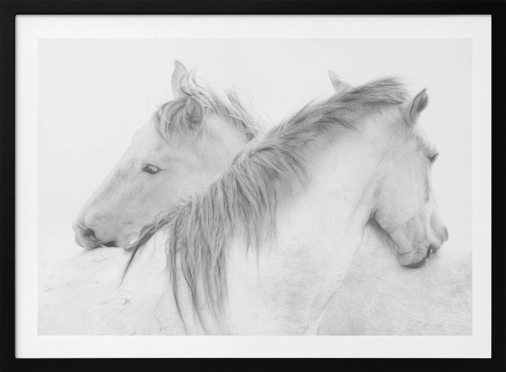Horses | Poster