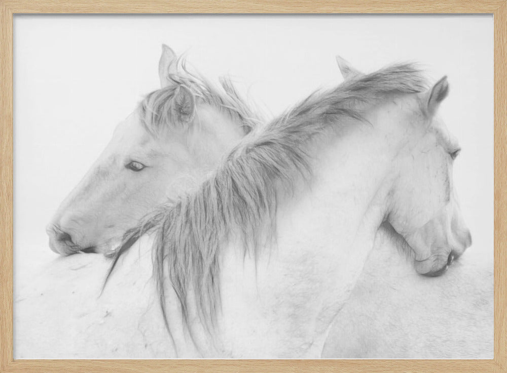Horses | Poster