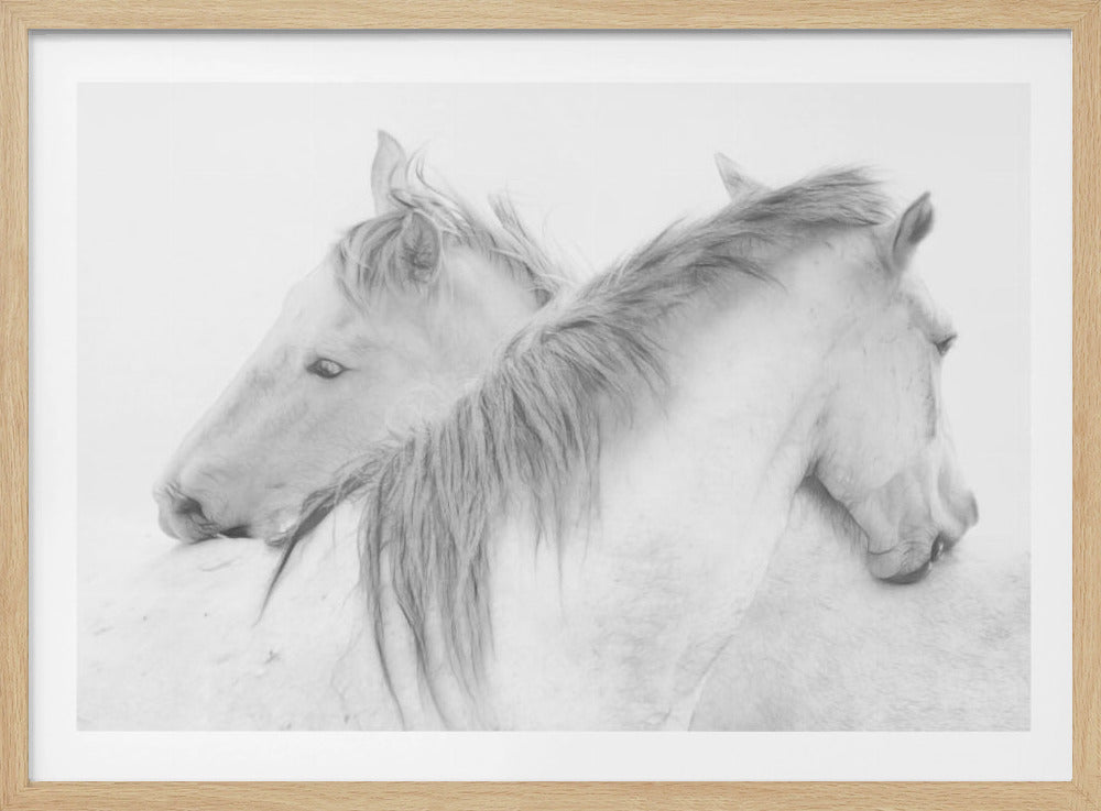 Horses | Poster