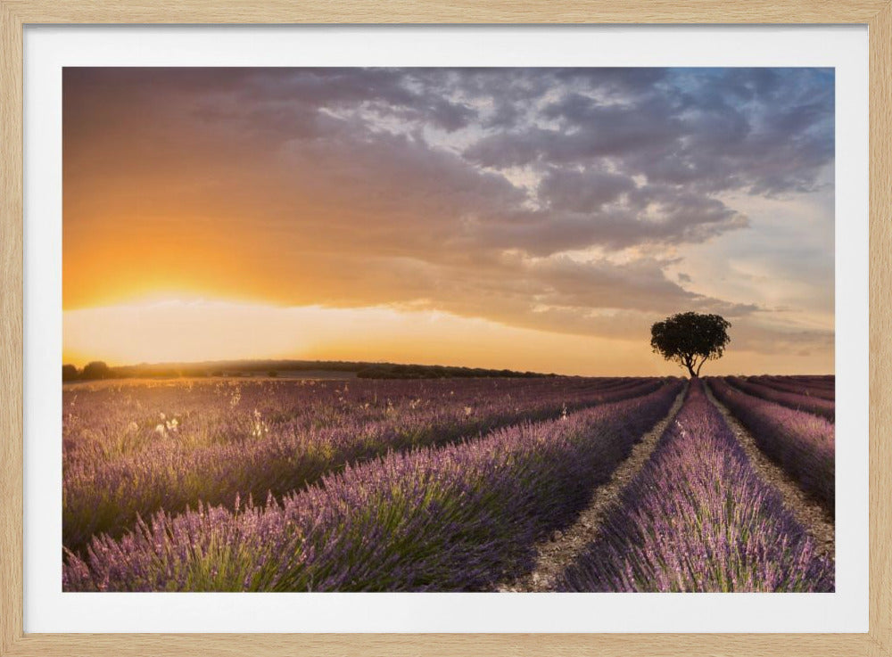 BESTEMMING LAVENDEL | Poster