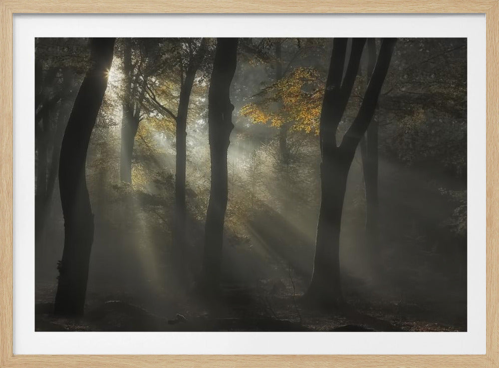 Sunbeam | Poster
