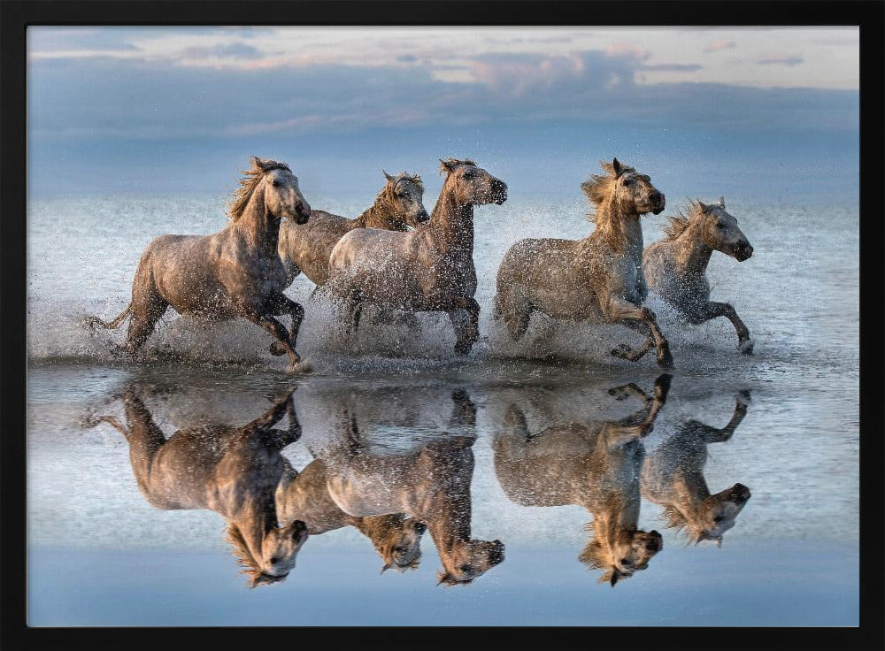 Paarden en reflectie | Poster