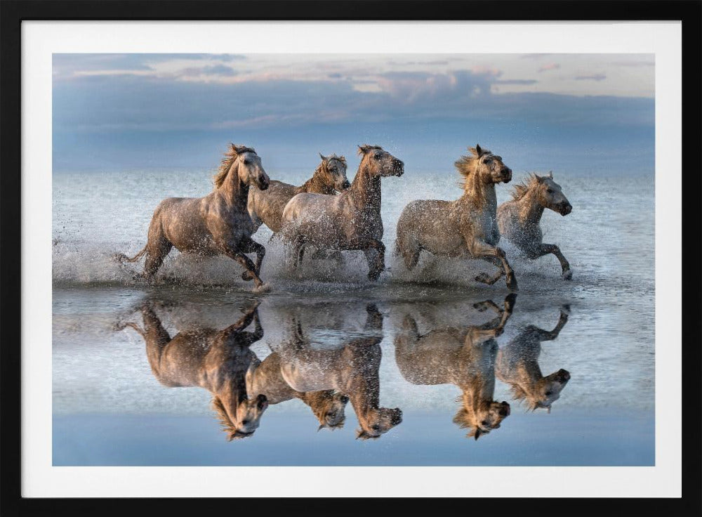 Paarden en reflectie | Poster