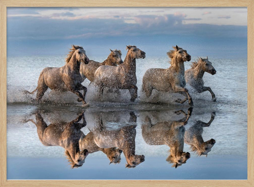 Paarden en reflectie | Poster