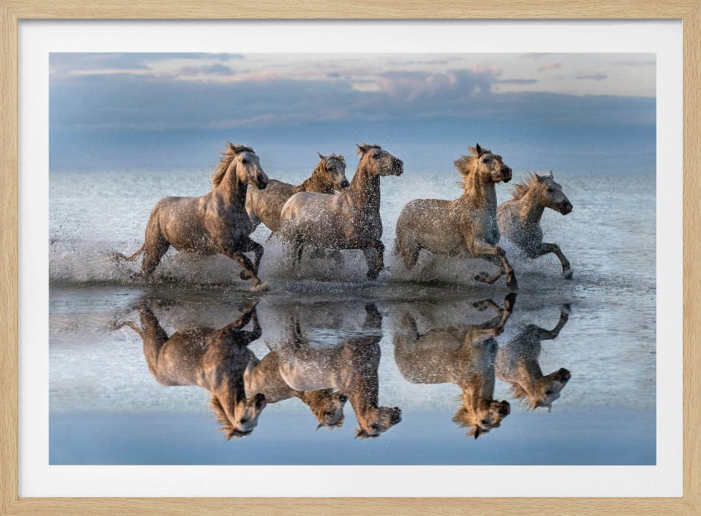Paarden en reflectie | Poster