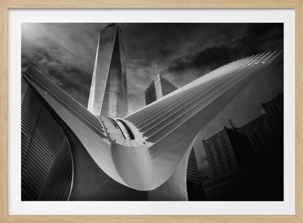 Oculus #01 | Poster