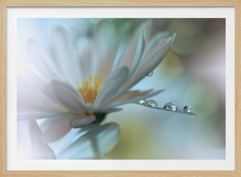 Lichte aanraking... | Poster