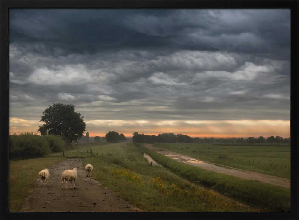 Wuivende wolken | Poster