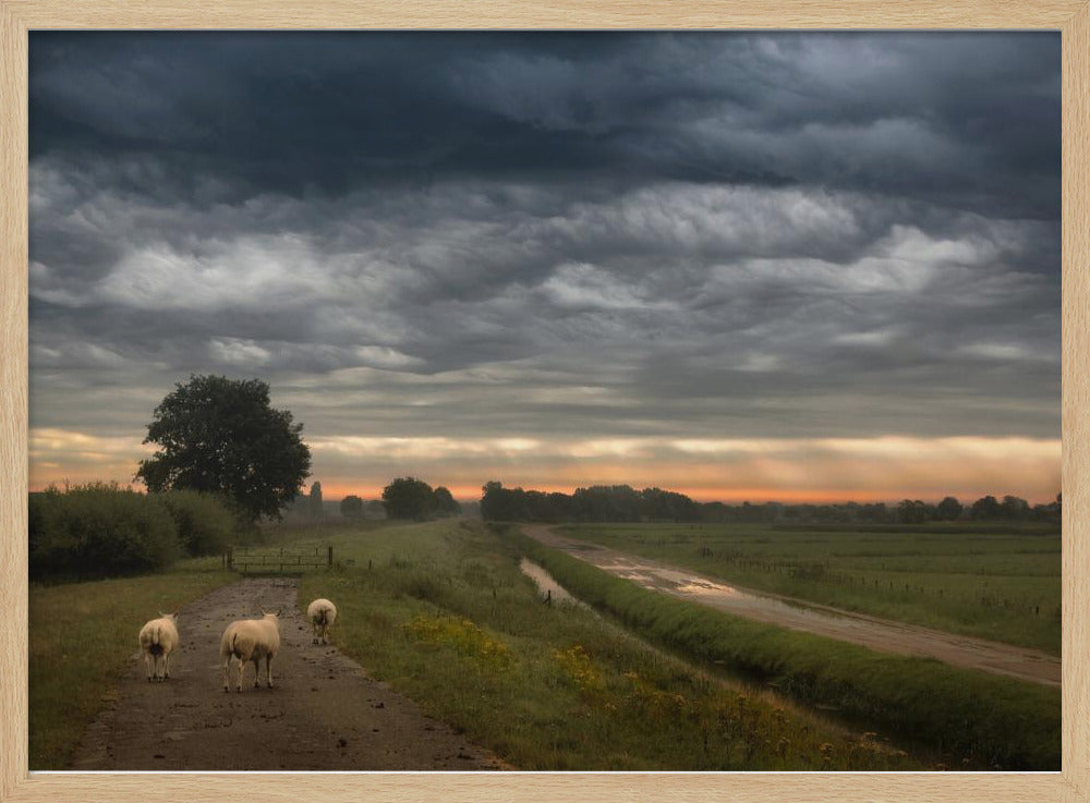 Wuivende wolken | Poster