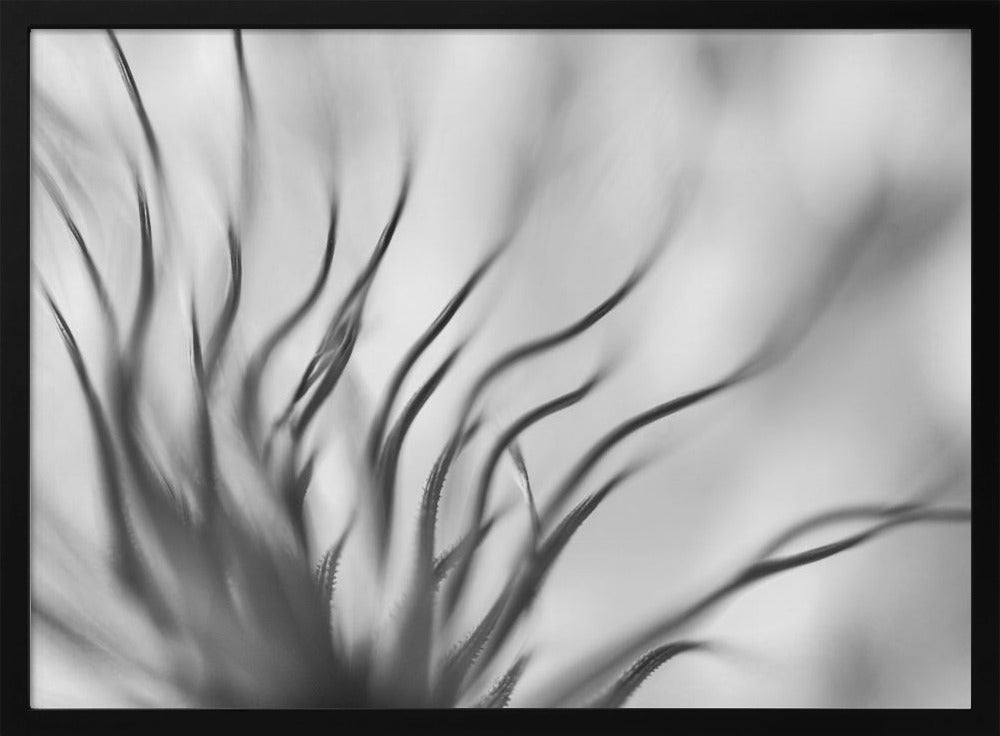 Untitled | Poster