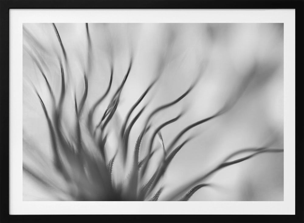 Untitled | Poster