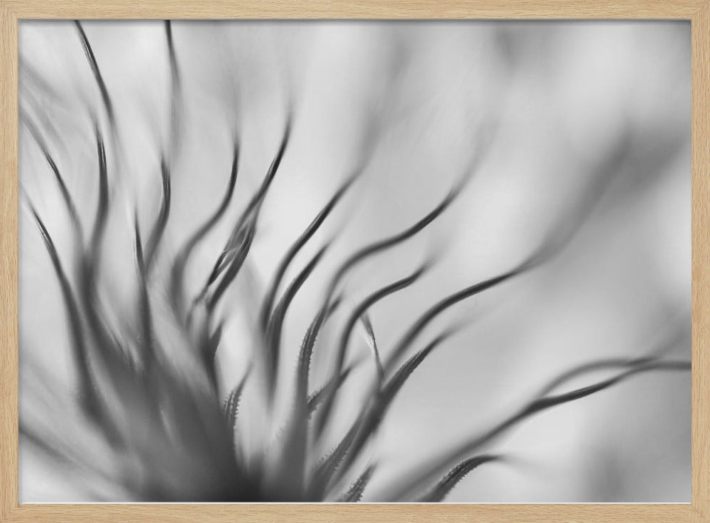 Untitled | Poster