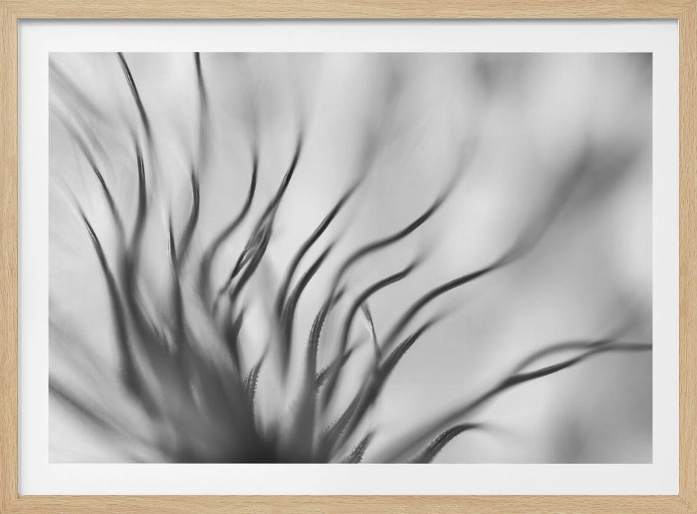 Untitled | Poster