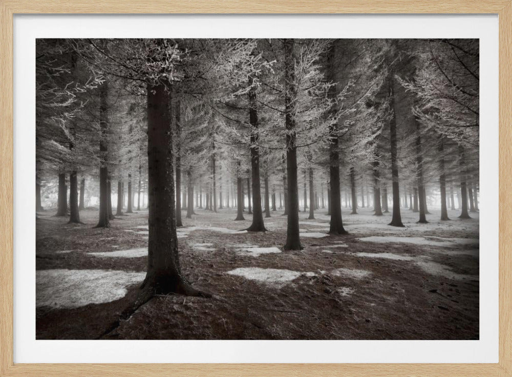 Het begin van de winter | Poster