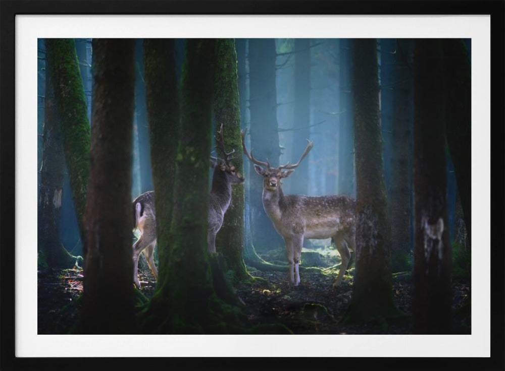 Herten | Poster
