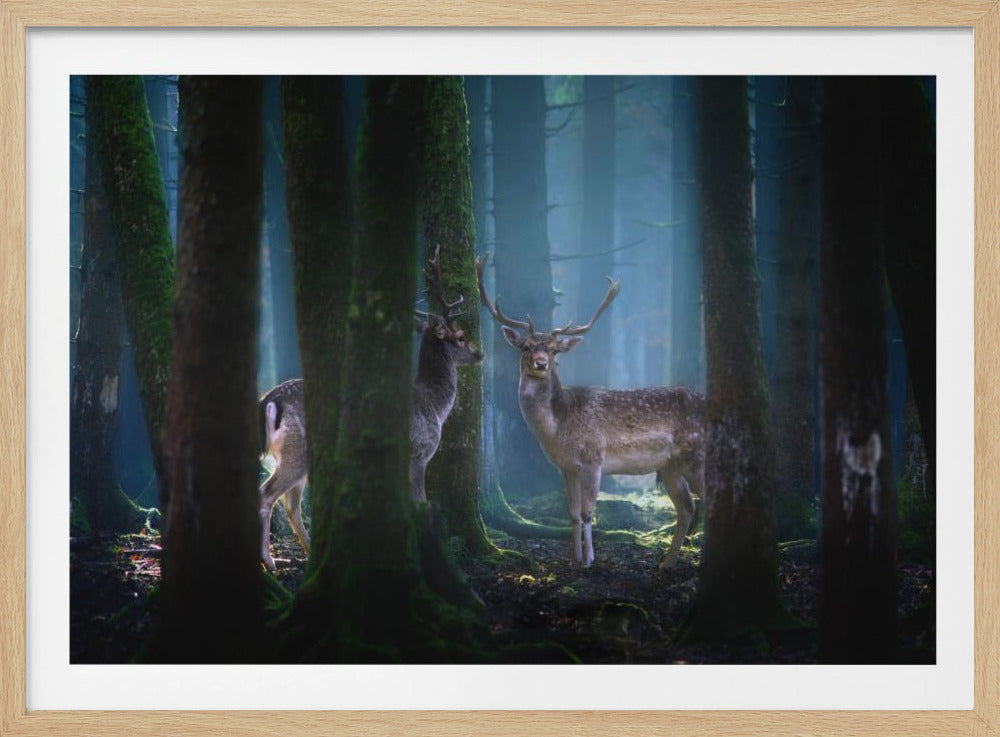 Herten | Poster