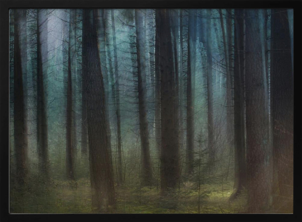 Blauw licht | Poster
