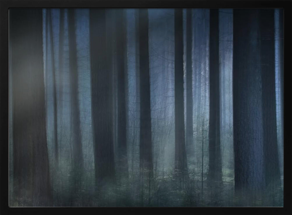 Blauw licht | Poster