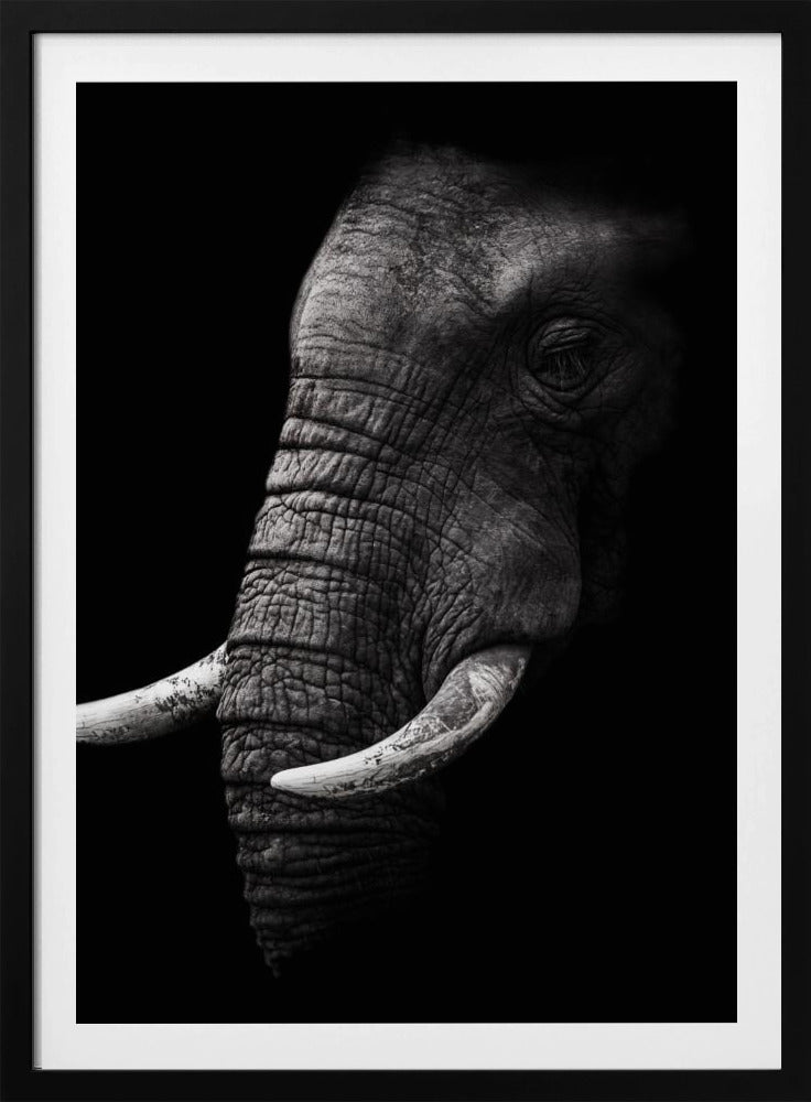 Portret | Poster