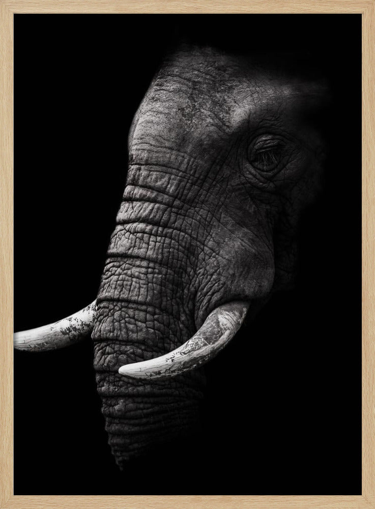 Portret | Poster