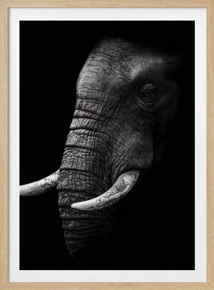 Portret | Poster