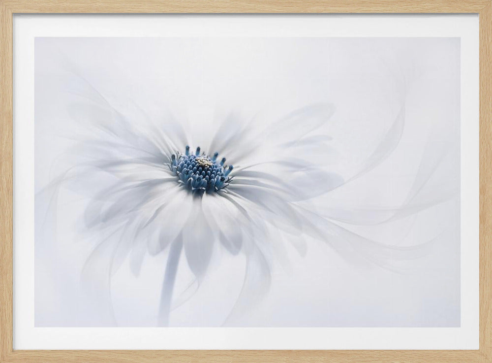 Sereniteit | Poster