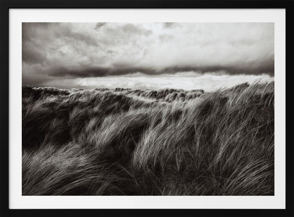 Duinen van gras | Poster
