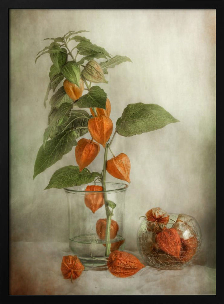 Lanterns | Poster