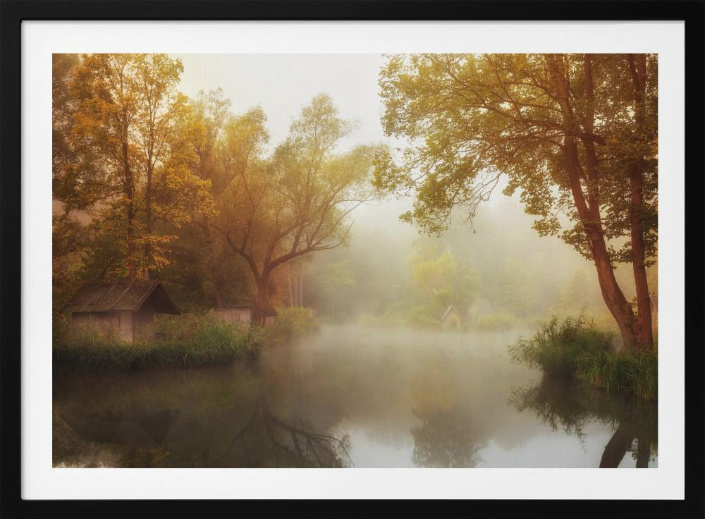 Mistige herfst | Poster