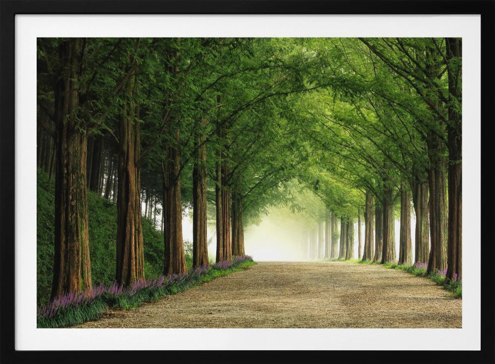 Metasequoiaweg | Poster