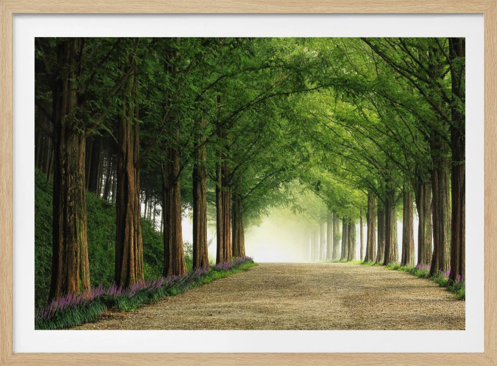 Metasequoiaweg | Poster