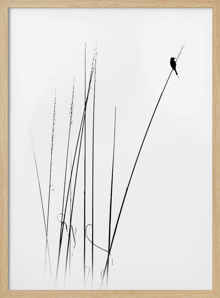 een sabbatical | Poster