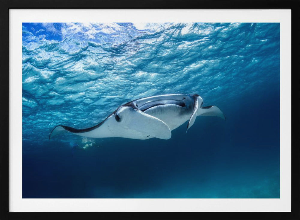 Mantarog | Poster