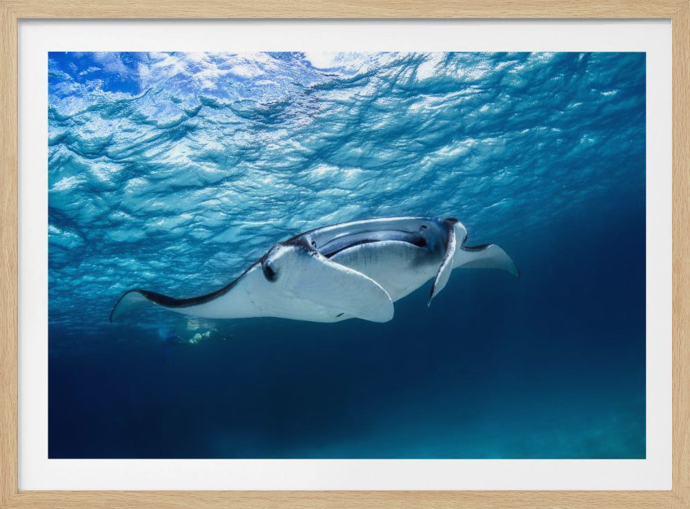 Mantarog | Poster