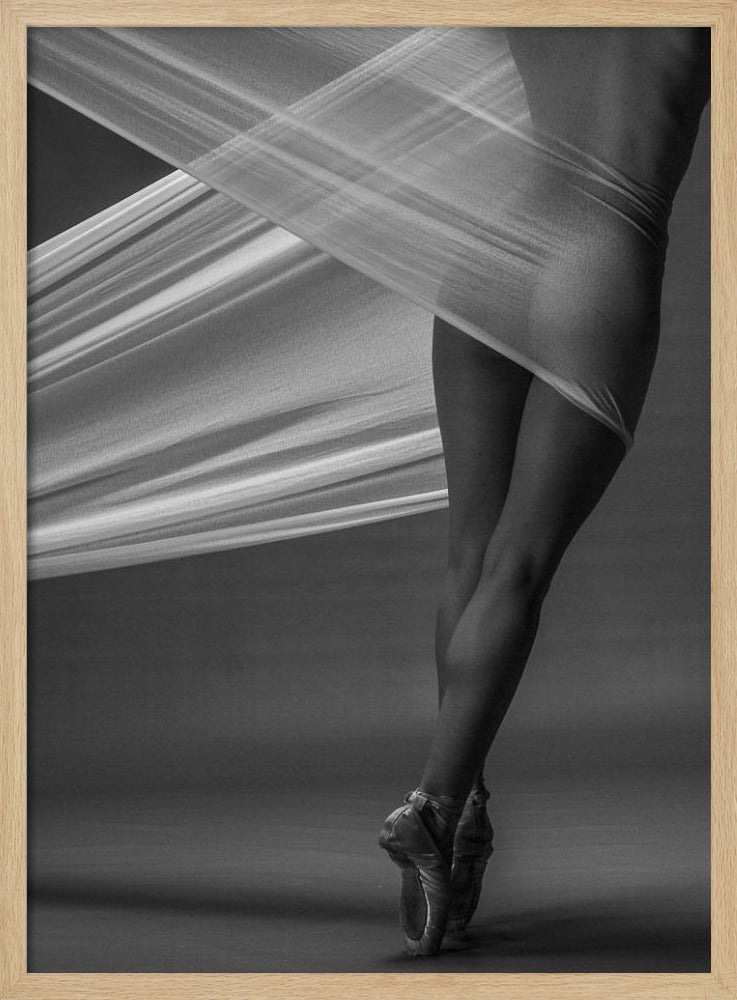 Evenwicht | Poster